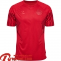 Maillot De Foot Danemark Domicile Homme World Cup 2022
