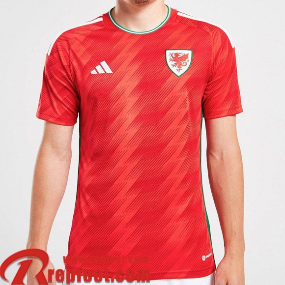 Maillot De Foot Pays de Galles Domicile Homme World Cup 2022