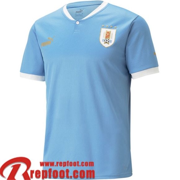 Maillot De Foot Uruguay Domicile Homme World Cup 2022