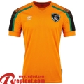 Maillot De Foot Ireland Exterieur Homme World Cup 2022