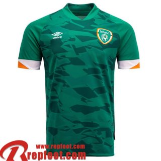 Maillot De Foot Ireland Domicile Homme World Cup 2022