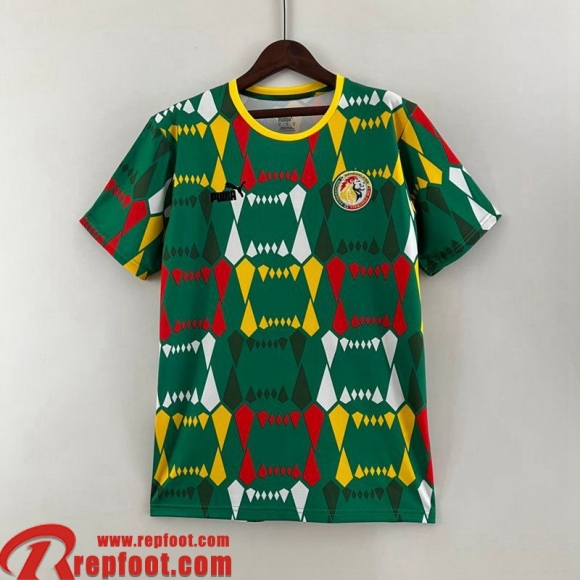 Senegal Maillot de Foot Special Edition Homme 2023 TBB266