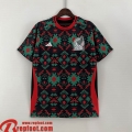 Mexique Maillot de Foot Special Edition Homme 23 24 TBB184