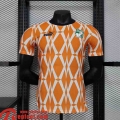 Ivory Coast Maillot de Foot Special Edition Homme 2023 TBB213
