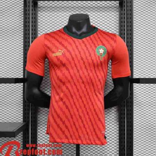 Morocco Maillot de Foot Special Edition Homme 2023 TBB216