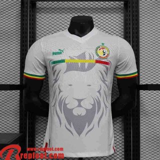 Senegal Maillot de Foot Special Edition Homme 2023 TBB221