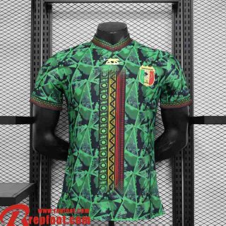 Mali Maillot de Foot Special Edition Homme 2023 TBB223