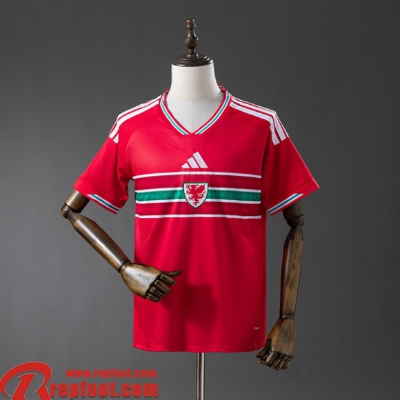 Wales Maillots De Foot Domicile Homme 2026 Wales Maillots De Foot Domicile Homme 2026