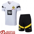 Dortmund Survetement T Shirt Blanc Homme 22 23 TG651