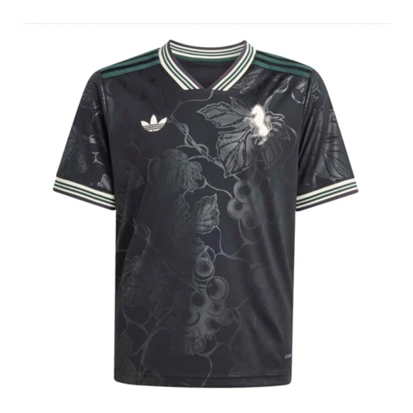 Juventus Maillot De Foot Third Homme 25 26 Pas de publicité