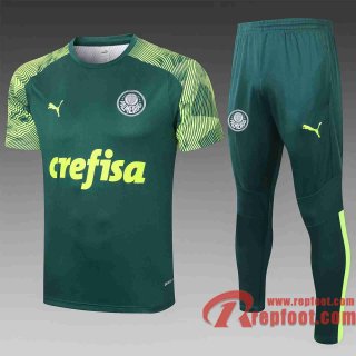 Palmeiras Survetement Foot T-shirt Vert fonce 20 21 TT04