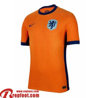 The Tangerines Maillot De Foot Domicile Homme EURO 2024