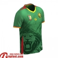 Cameroon Maillots De Foot Domicile Homme 2025