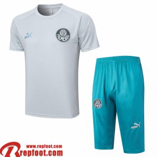 Palmeiras Polo foot Blanc Homme 23 24 PL685