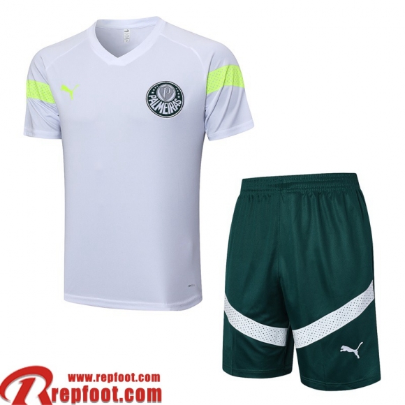 Palmeiras Polo foot Blanc Homme 23 24 PL692