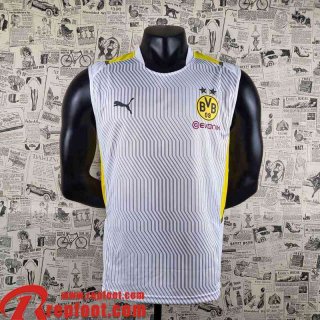 Dortmund T-Shirt gris Homme 22 23 PL325