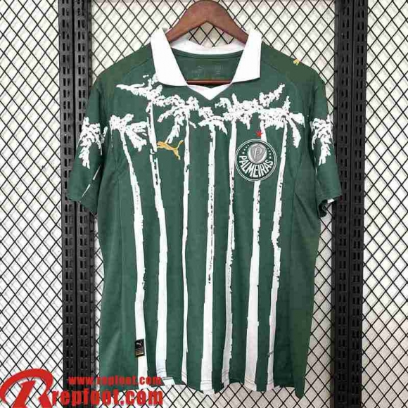 Palmeiras Maillots De Foot Special Edition Homme 2025 2026 TBB774