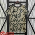 Bayern Munich Maillots De Foot Special Edition Homme 2025 2026 TBB794