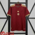 Mexique Maillots De Foot Special Edition Homme 2025 TBB796