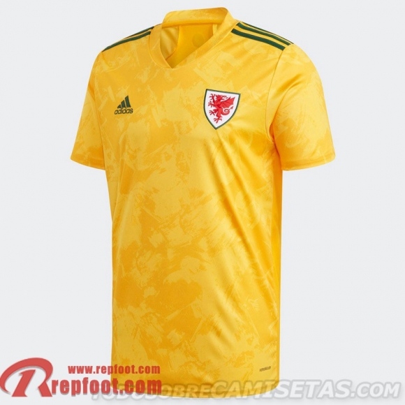 Pays de Galles Maillot de foot Exterieur Uomo EURO 2021