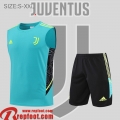 Juventus Sans manches vert Homme 22 23 PL506