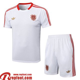 Bayern Munich T Shirt Homme 25 26 H561