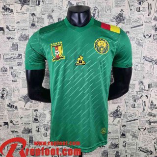 Cameroon Maillot De Foot Vert Homme 22 23 AG05