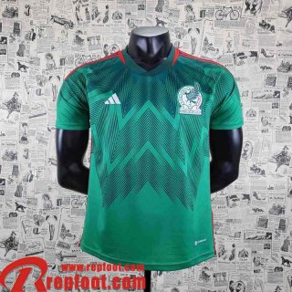 Maillot De Foot World Cup Mexico Domicile Homme 2022 AG88