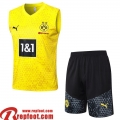 Dortmund Survetement Sans manches jaune Homme 23 24 A61